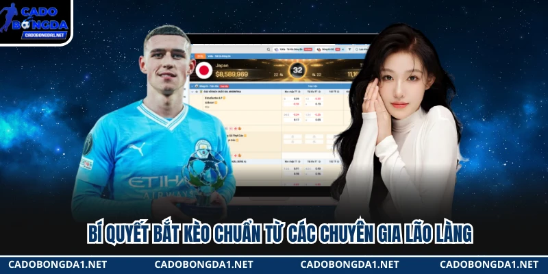 Bí quyết bắt kèo chuẩn từ các chuyên gia lão làng