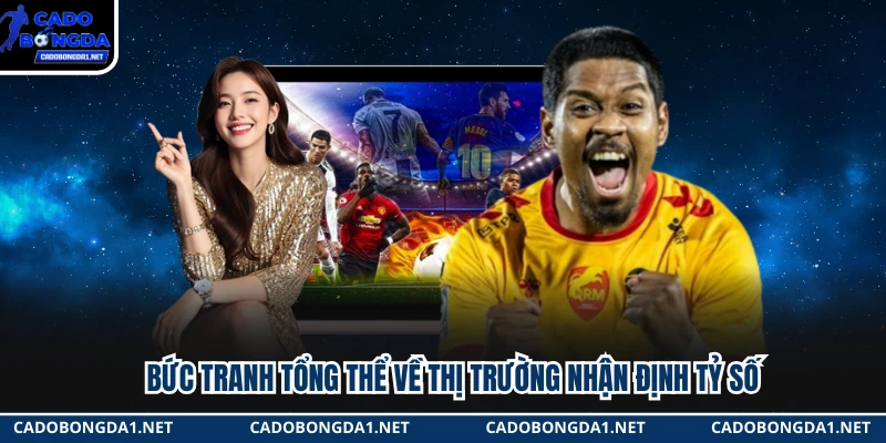 Bức tranh tổng thể về thị trường nhận định tỷ số 