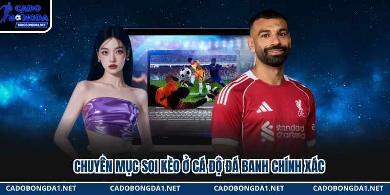 Chuyên mục soi kèo ở Cá Độ Đá Banh chính xác