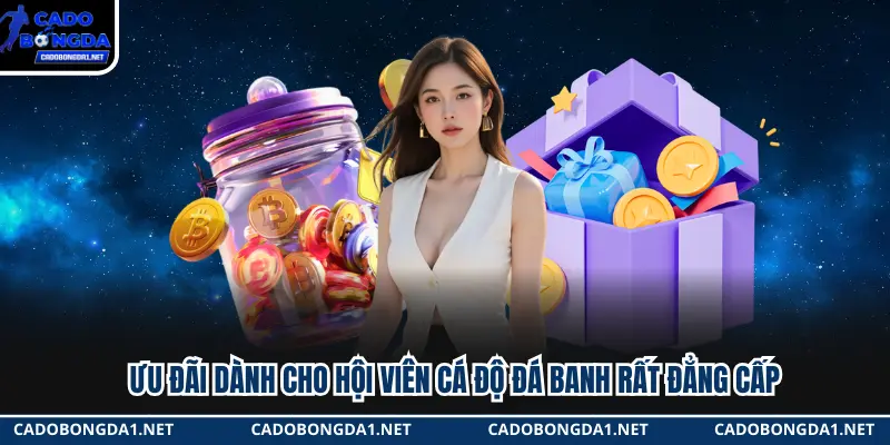 Ưu đãi dành cho hội viên Cá Độ Đá Banh rất đẳng cấp