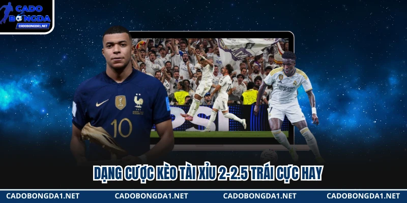 Dạng cược kèo Tài Xỉu 2-2.5 trái cực hay